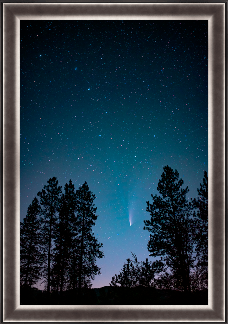 Night Sky with NEOWISE